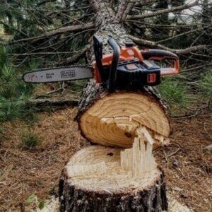 40V MAX* Cordless Chainsaw, Tool Only, 12 in